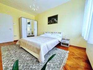 a bedroom with a large bed and a mirror at City Fontana in Kruševac