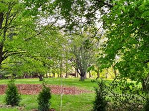 Zahrada ubytování Cozy Riverside View House