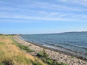 a beach with the ocean and a blue sky at Holiday Home Chayton - 450m from the sea by Interhome in Fåborg