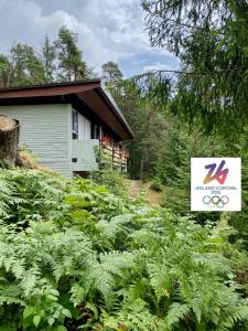 Fotografie z fotogalerie ubytování Ca' Mugo, chalet immerso nel bosco v destinaci Vodo Cadore