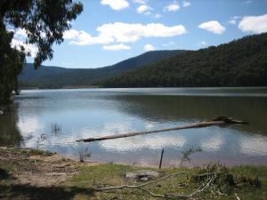 a log in the middle of a lake at Nathan's Place in Whitfield