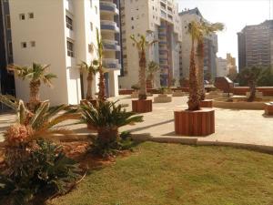 a row of palm trees in a courtyard with buildings at Apartment on Nitza 8a in Netanya