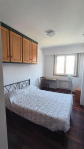 a bedroom with a bed and wooden floors and cabinets at Pirámides Ourense in Ourense