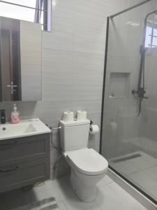 a bathroom with a toilet and a sink and a shower at Mira lune villa in Flic-en-Flac +6 photos