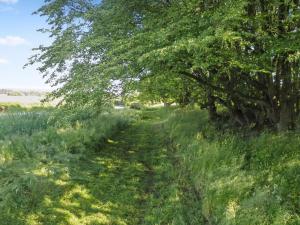 a path through a field with trees and grass at Apartment Beatha - 25km to the inlet by Interhome in Sønder Felding