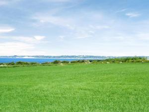 a field of green grass with the ocean in the background at Holiday Home Brynjolf - 350m to the inlet by Interhome in Vinderup