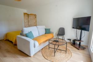 a living room with a couch and a tv at Studio en centre-ville d'Antony in Antony