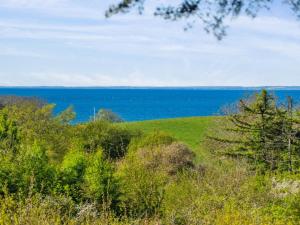 Příroda nedaleko prázdninového domu