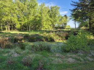 a field of grass with trees and a body of water at Holiday Home Aswarth - 50m to the fjord by Interhome in Fur