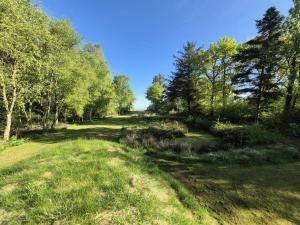 a path through a field with trees and grass at Holiday Home Aswarth - 50m to the fjord by Interhome in Fur