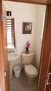 a bathroom with a toilet and a sink at BEAUTIFUL, gated and comfortable home in Santa Gertrudis