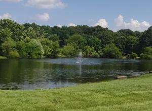 a fountain in the middle of a lake at Rustic Way in McArthur
