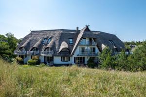 una vecchia casa con tetto di paglia su una collina di Dünentraum a Neuhaus