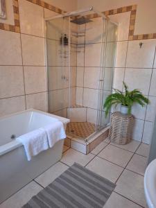 a bathroom with a shower and a tub with a plant at Just Dandee in Naboomspruit +17 photos