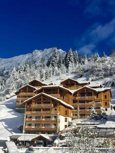 Crépines Appartement 2 à 4 personnes au pied des pistes semasa musim sejuk