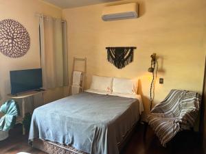 拉夫拉斯Naturaleza - Pousada & Centro Holístico的一间有床和电视的卧室