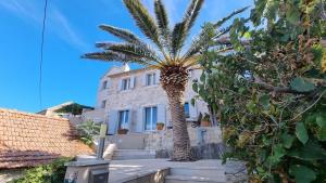 eine Palme vor einem Haus in der Unterkunft Fortuna House Vis in Vis