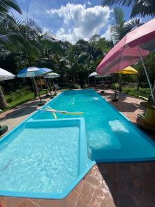 Swimmingpoolen hos eller tæt på Família, Natureza e Liberdade