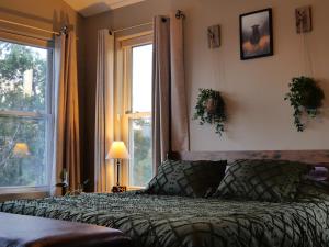 a bedroom with a bed and a large window at Hilltop Saltwater Pool and Hot Tub in Dripping Springs