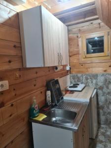 a kitchen with a sink and a microwave at Markove kolibe 6, Uvac in Sjenica