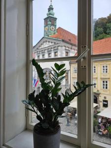 a potted plant sitting on a window sill with a clock tower at HISTORIC TOWN HOUSE Apartment in Ljubljana