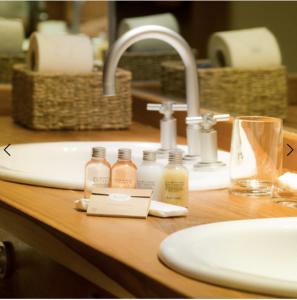 a bathroom counter with a sink and bottles of soap at Hostería Antares Patagonia by Visionnaire in San Martín de los Andes