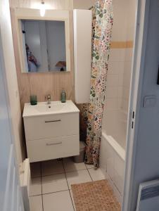a bathroom with a sink and a shower curtain at Charmant appartement 2 chambres - Proche Tours in Joue-les-Tours