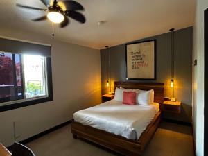 um quarto com uma cama e um ventilador de teto em Viajero San José Hostel em San José