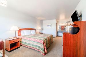 a hotel room with a bed and a tv at Capital O Aurora Inn Monett US 60 in Aurora