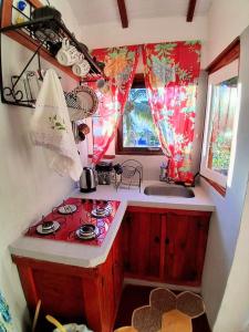 a small kitchen with a stove and a sink at Varanda Suspensa em São Sebastião. in São Sebastião