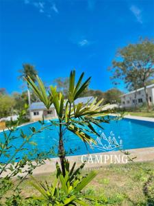 a palm tree in front of a swimming pool at Cabañas Camping Malvinas Argentinas Paso de la Patria in Paso de la Patria