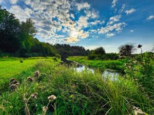 Φυσικό τοπίο κοντά σε αυτό το διαμέρισμα +5 φωτογραφίες