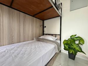 a bedroom with a bed and a plant at The Bunkyard Galle Hostel in Galle +33 photos