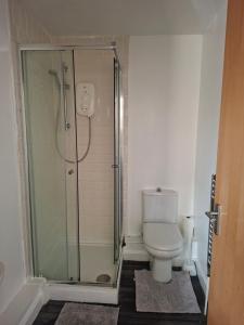 a bathroom with a shower and a toilet at Room with bathroom in Middlesbrough