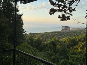a view of the ocean from a tower in the forest at Tsikhisdziri in Ts'ikhisdziri