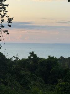 Φωτογραφία από το άλμπουμ του Tsikhisdziri σε Tsikhisdziri