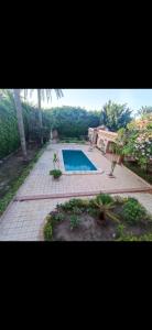 a swimming pool in the middle of a backyard at المحافظه in King Mariout