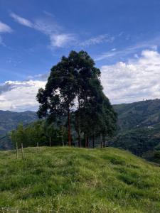 Φωτογραφία από το άλμπουμ του finca hotel ganbaru 