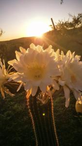 Φωτογραφία από το άλμπουμ του Casa campo La Quebrada σε Embalse +12 φωτογραφίες