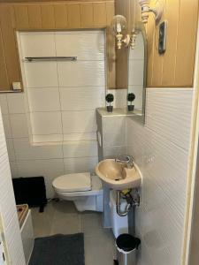 a small bathroom with a toilet and a sink at Monteurwohnung Naila in Naila