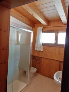 a bathroom with a glass shower and a toilet at Stella Alpina Holiday Home in Auronzo di Cadore