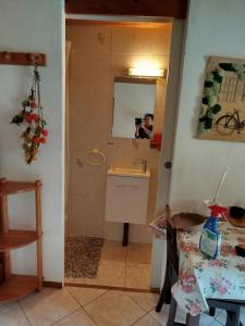 a bathroom with a sink and a shower with a mirror at studio ensoleillé avec jardin pour 2 à Monêtier in Le Monêtier-les-Bains +8 photos