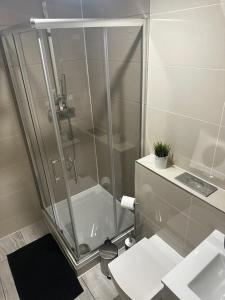 een badkamer met een douche, toilet en wastafel bij Room Imperial in Londen +3 foto's