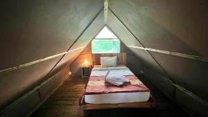 Gallery image of Saadani Beach Camp in Saadani