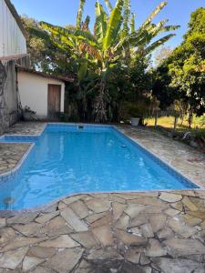 een zwembad in een achtertuin met een palmboom bij Keller Reservas in Resende