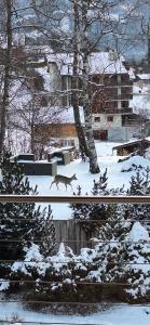 Billede fra billedgalleriet på Chalet Hakuna Matata Ovronnaz i Ovronnaz