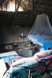 Fotografie z fotogalerie ubytování Bungalows India, El Valle, Samana v destinaci Santa Bárbara de Samaná + 41 fotografií