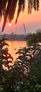 Billede fra billedgalleriet på Villa Rose-Luxor i Luxor