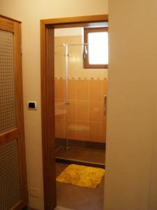 a bathroom with a shower with a glass door at ISONZO APARTMENT in Bovec +47 photos