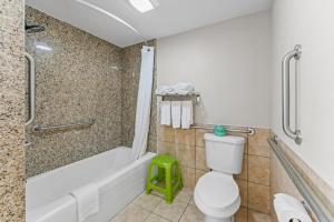 a bathroom with a toilet and a tub and a sink at Guest Inn Rogers in Rogers